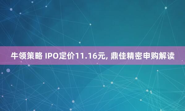 牛领策略 IPO定价11.16元, 鼎佳精密申购解读