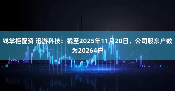 钱掌柜配资 迅游科技：截至2025年11月20日，公司股东户数为20264户